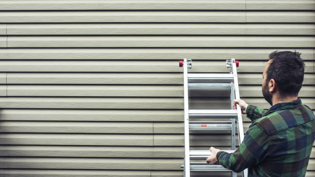 Best Aluminum Siding Installation  in Waterloo, IL