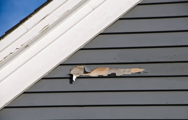 Best Storm Damage Siding Repair  in Waterloo, IL